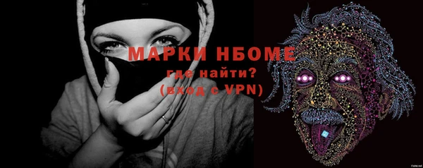 твердый Бородино