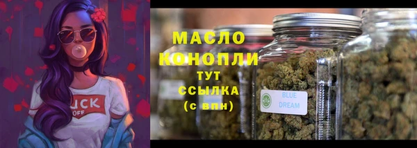 твердый Бородино