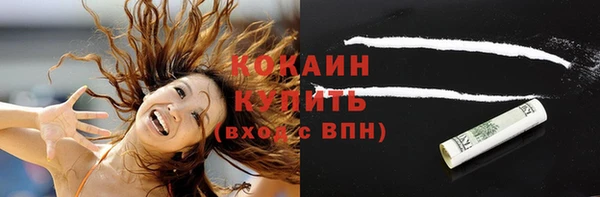 твердый Бородино