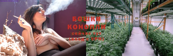 твердый Бородино