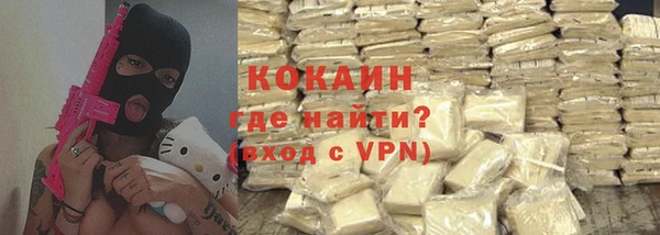 твердый Бородино