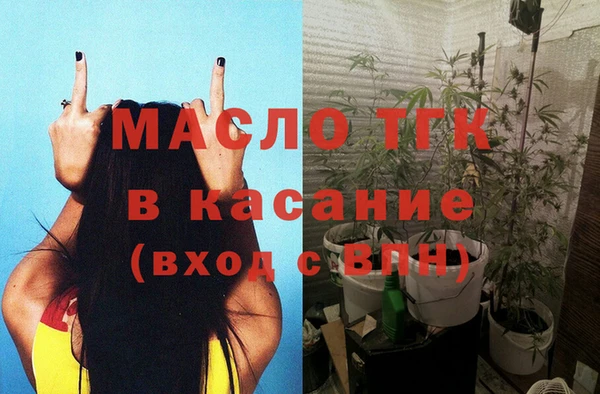твердый Бородино